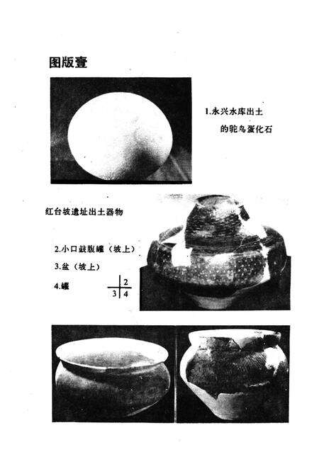 《《凉城县文物志》》.pdf_内蒙古自治区志预览图5