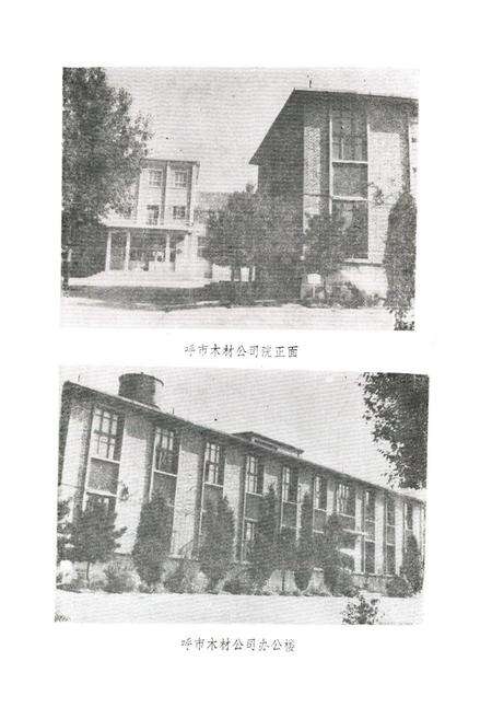 《呼和浩特市木材公司志(1951-1984)》.pdf_内蒙古自治区志预览图2