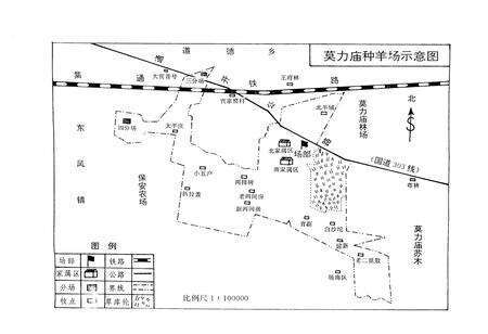 《《哲里木盟莫里庙种羊场志》(1954-1990)》.pdf_内蒙古自治区志预览图2