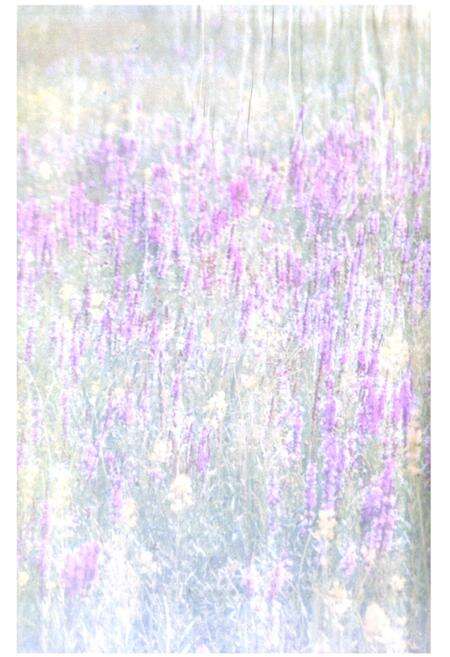 《《阿鲁科尔沁旗人民政府办公室翻译志》》.pdf_内蒙古自治区志预览图3