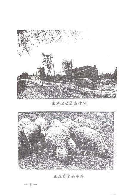 《哲里木盟查金台牧场志(1962-1990)》.pdf_内蒙古自治区志预览图3
