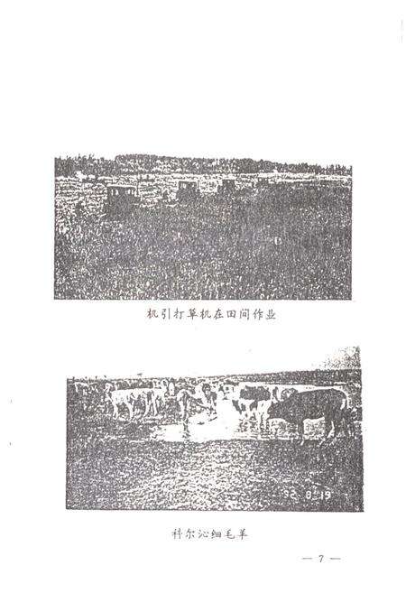 《哲里木盟查金台牧场志(1962-1990)》.pdf_内蒙古自治区志预览图4