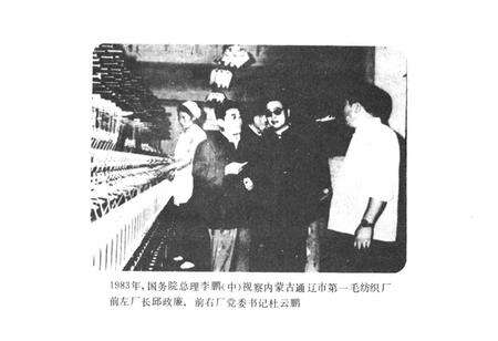 《通辽市第一毛纺织厂志》.pdf_内蒙古自治区志预览图3