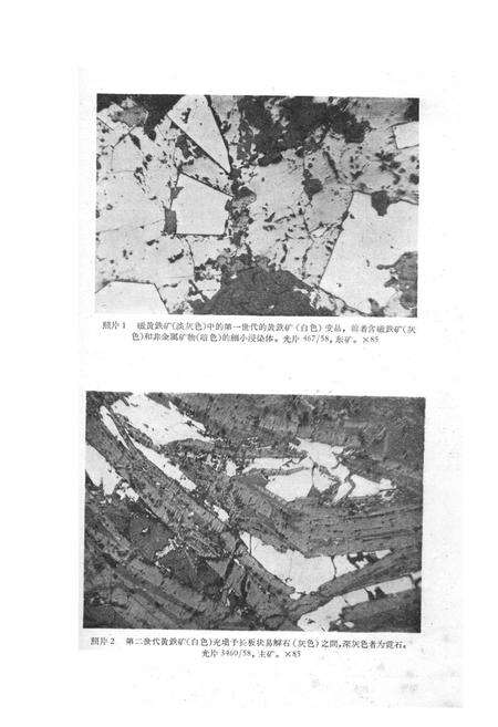 《白云鄂博矿物志》.pdf_内蒙古自治区志预览图2
