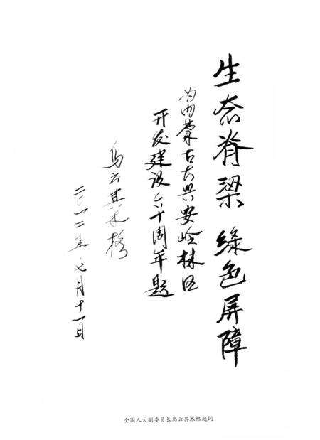 《中国内蒙古森工集团内蒙古大兴安岭林管局志 2000-2011》.pdf_内蒙古自治区志预览图4