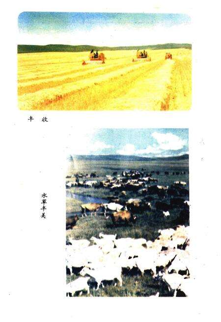 《兴安盟概况》.pdf_内蒙古自治区志预览图5