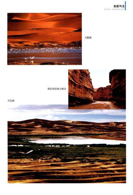 《阿拉善左旗志(2000-2012年)》.pdf_内蒙古自治区志预览图5