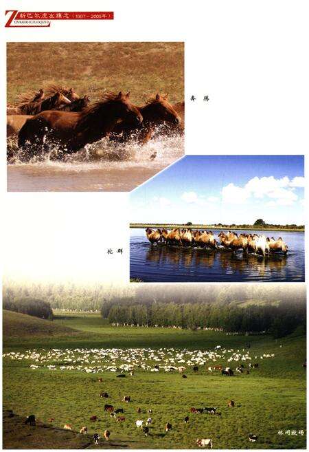 《新巴尔虎左旗志(1997-2005)》.pdf_内蒙古自治区志预览图5