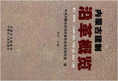 《内蒙古建制沿革概览》.pdf_内蒙古自治区志缩略图