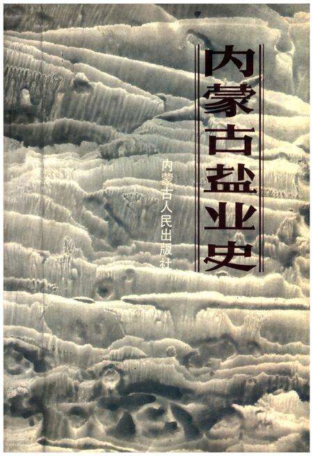 《内蒙古盐业史》.pdf_内蒙古自治区志缩略图