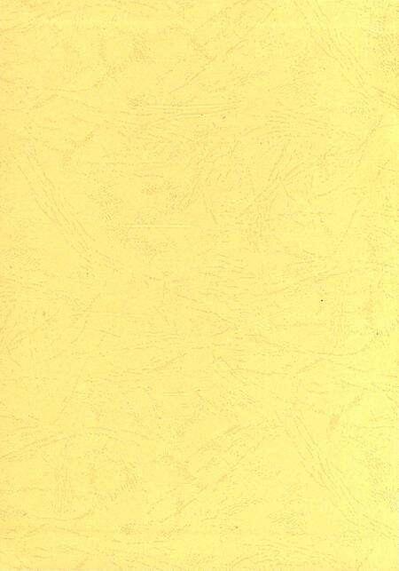 《巴彦淖尔统计志(第二集)》.pdf_内蒙古自治区志预览图1