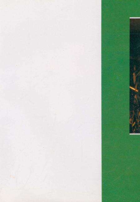 《巴彦淖尔盟行政公署司法志1979-1988》.pdf_内蒙古自治区志预览图1