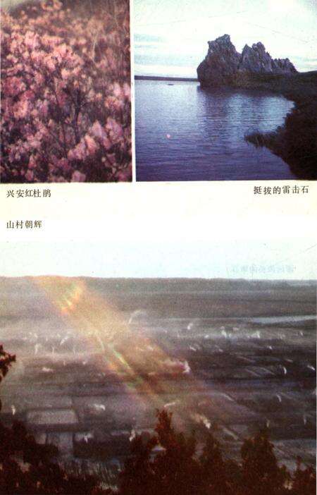 《莫力达瓦达斡尔族自治旗概况》.pdf_内蒙古自治区志预览图4