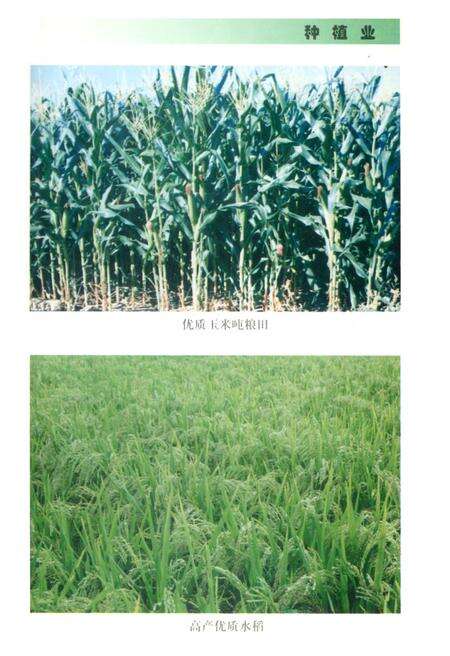 《赤峰市农垦志》.pdf_内蒙古自治区志预览图2