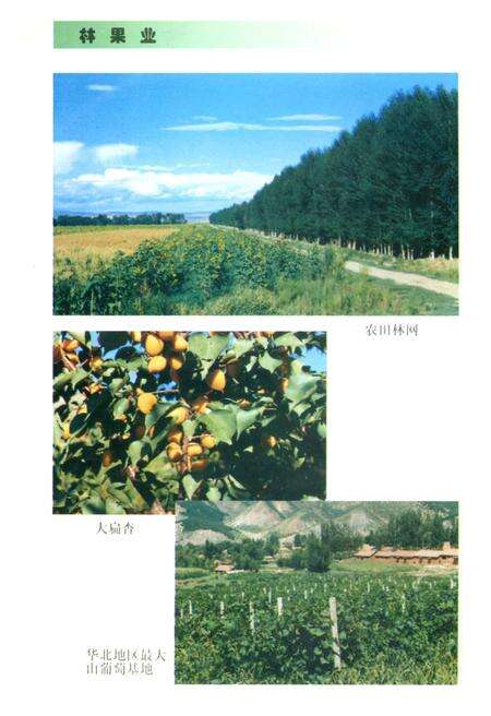 《赤峰市农垦志》.pdf_内蒙古自治区志预览图5