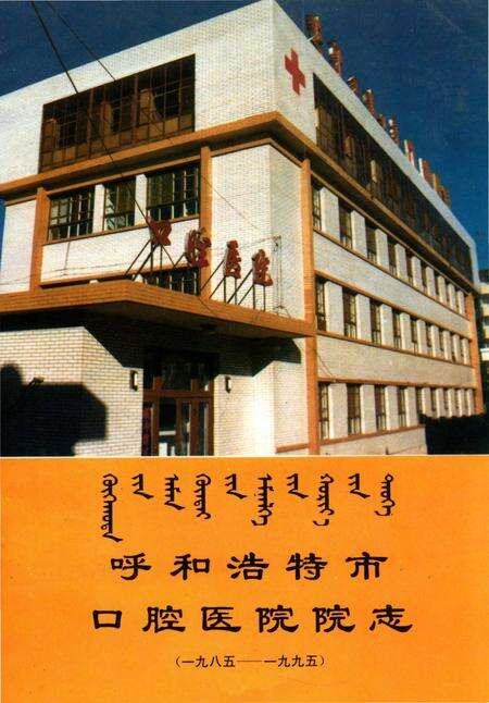 《呼和浩特市口腔医院院志 1985-1995》.pdf_内蒙古自治区志缩略图