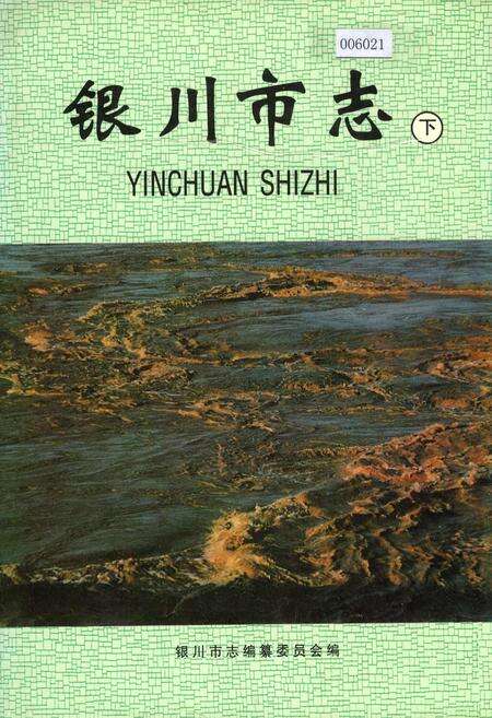 《银川市志下》.pdf_宁夏回族自治区志缩略图