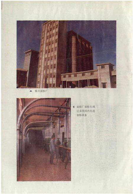 《银川市粮食志》.pdf_宁夏回族自治区志预览图4