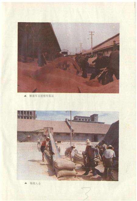 《银川市粮食志》.pdf_宁夏回族自治区志预览图5