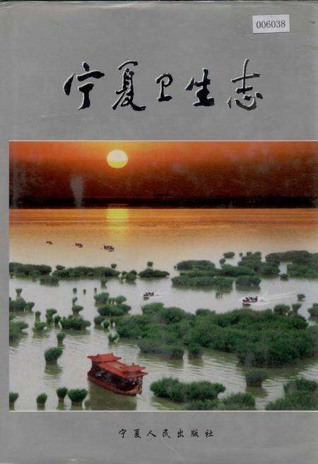 《宁夏卫生志》.pdf_宁夏回族自治区志缩略图