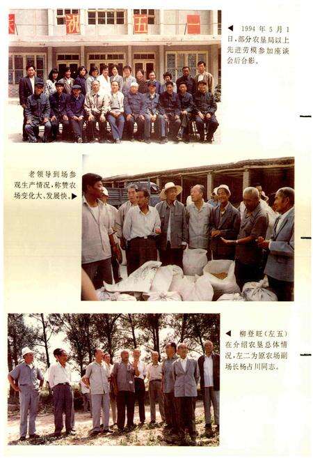 《宁夏回族自治区暖泉农场志》.pdf_宁夏回族自治区志预览图4