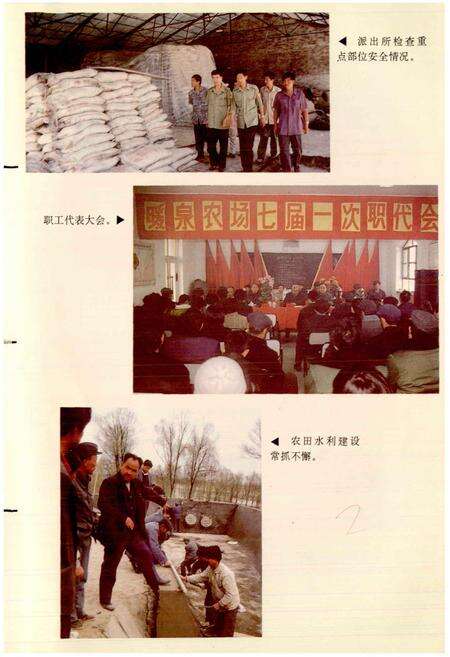 《宁夏回族自治区暖泉农场志》.pdf_宁夏回族自治区志预览图5