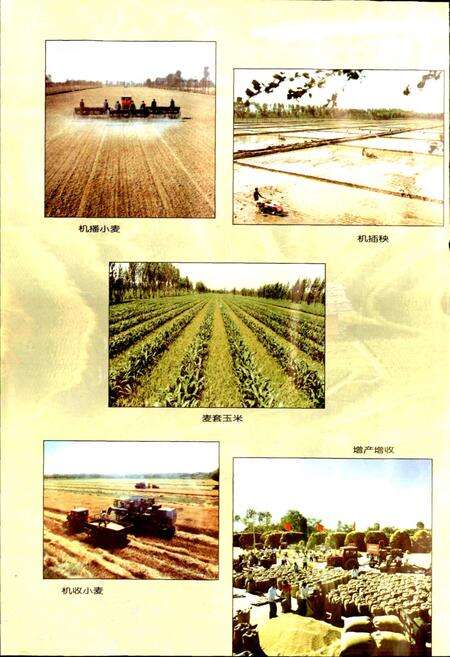 《宁夏农业志》.pdf_宁夏回族自治区志预览图5