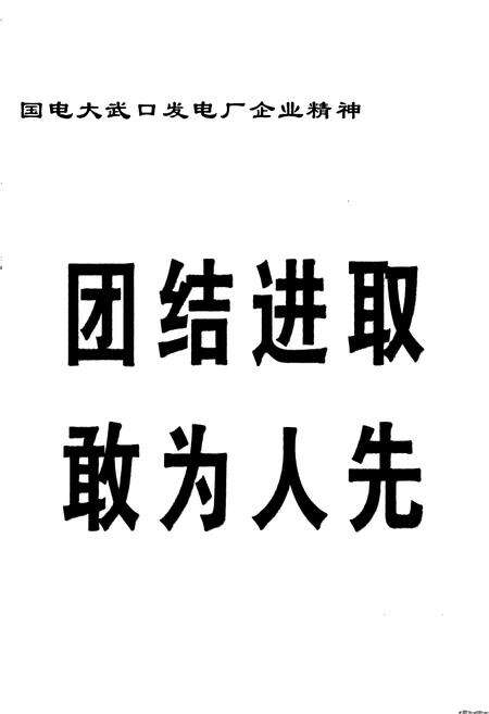 《国电大武口发电厂志》.pdf_宁夏回族自治区志预览图4