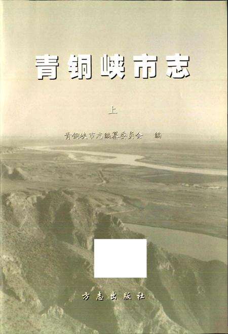 《青铜峡市志 上》.pdf_宁夏回族自治区志预览图2