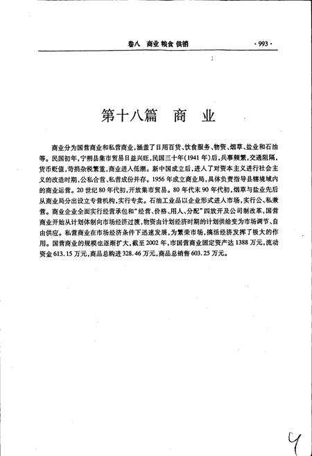 《青铜峡市志 下》.pdf_宁夏回族自治区志预览图4