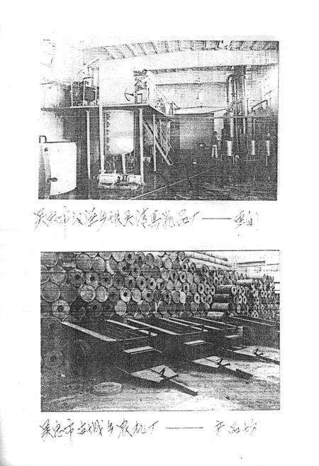 《吴忠市乡镇企业发展志》.pdf_宁夏回族自治区志预览图5
