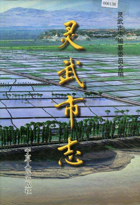 《灵武市志》.pdf_宁夏回族自治区志缩略图
