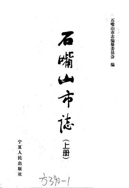 《石嘴山市志 上册》.pdf_宁夏回族自治区志预览图1