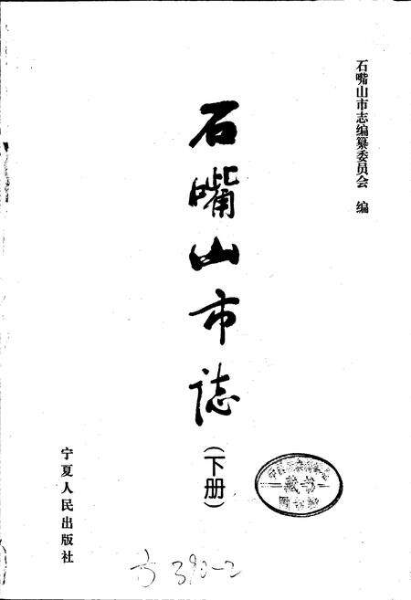 《石嘴山市志 下册》.pdf_宁夏回族自治区志预览图1