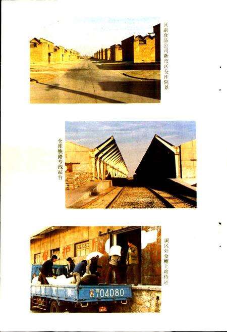 《宁夏食品志》.pdf_宁夏回族自治区志预览图5