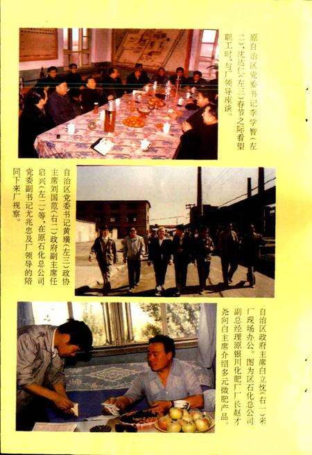 《宁夏银川化肥厂厂史》.pdf_宁夏回族自治区志预览图4