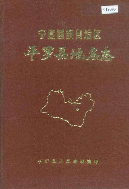 《宁夏回族自治区平罗县地名志》.pdf_宁夏回族自治区志缩略图