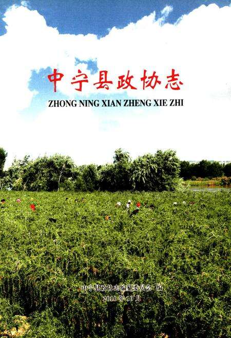 《中宁县政协志》.pdf_宁夏回族自治区志预览图1