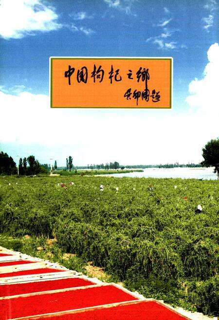 《中宁县政协志》.pdf_宁夏回族自治区志预览图2