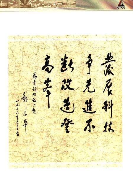 《青铝志》.pdf_宁夏回族自治区志预览图4