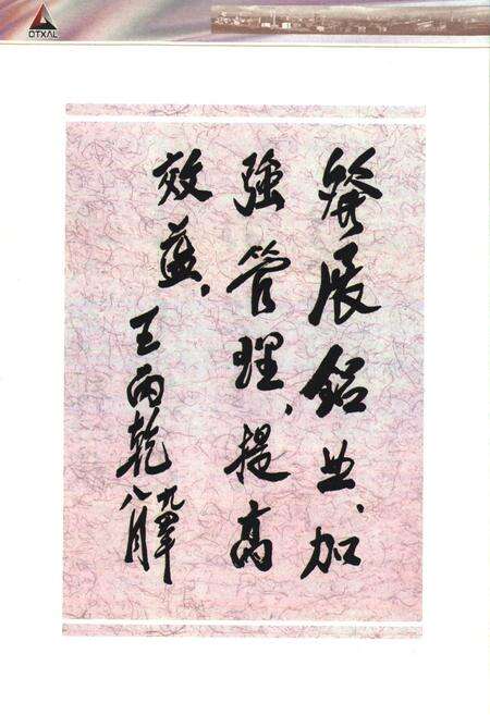 《青铝志》.pdf_宁夏回族自治区志预览图5