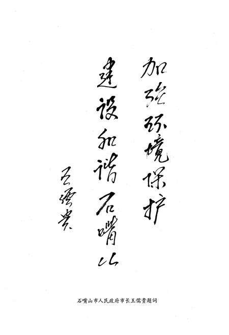 《石嘴山市环境保护志》.pdf_宁夏回族自治区志预览图4