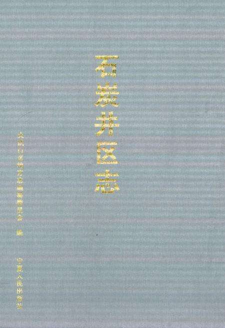 《石炭井区志》.pdf_宁夏回族自治区志缩略图