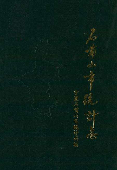 《石嘴山市统计志》.pdf_宁夏回族自治区志缩略图