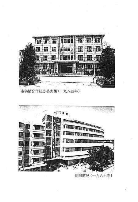 《吴忠市供销合作社志》.pdf_宁夏回族自治区志预览图3