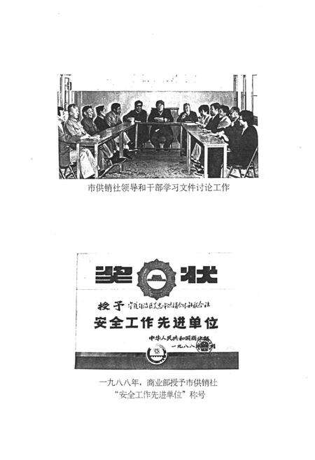 《吴忠市供销合作社志》.pdf_宁夏回族自治区志预览图4