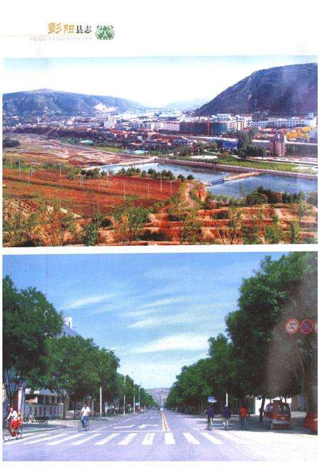 《《彭阳县志》下卷》.pdf_宁夏回族自治区志预览图3