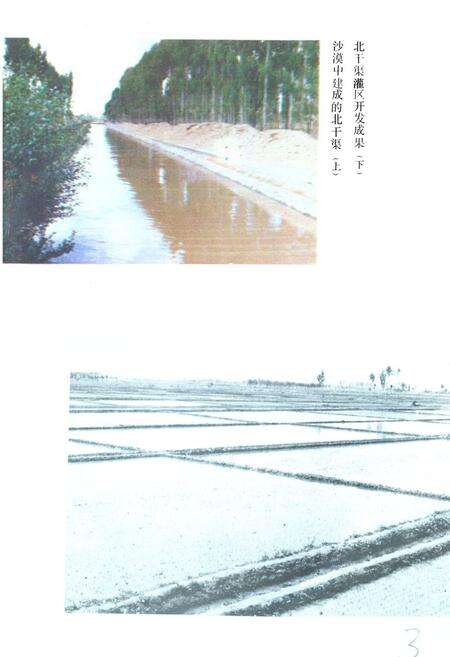 《《中卫县水利志》》.pdf_宁夏回族自治区志预览图4