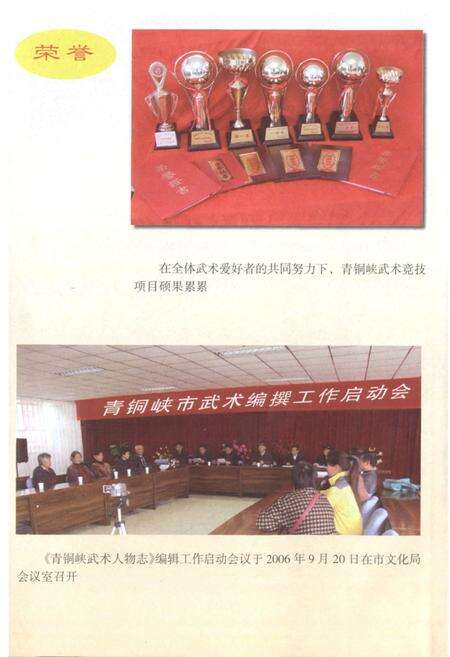 《青铜峡武术人物志》.pdf_宁夏回族自治区志预览图5