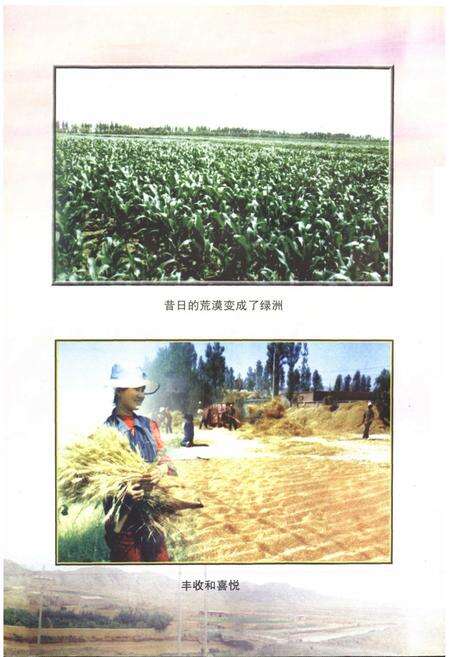 《《宁夏固海场水工程管理志》》.pdf_宁夏回族自治区志预览图5